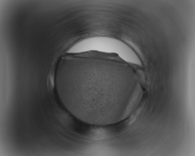 X0000089700062200707121402