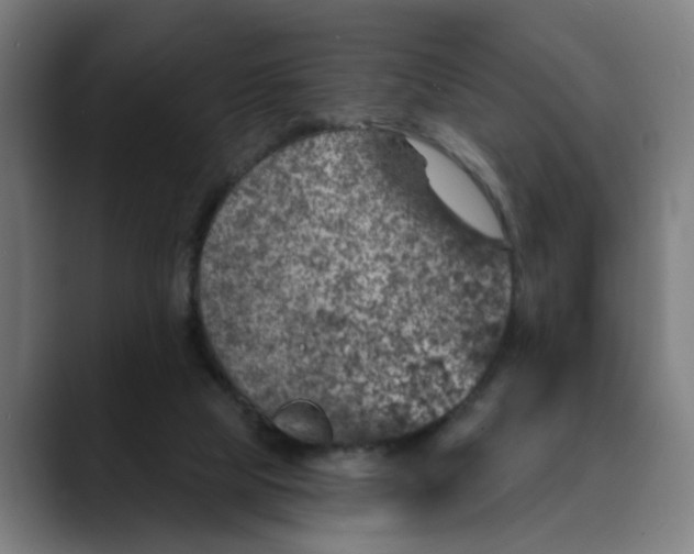 X0000089700065200707121402