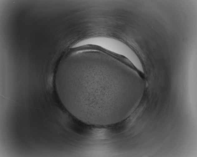 X0000089700066200707121402