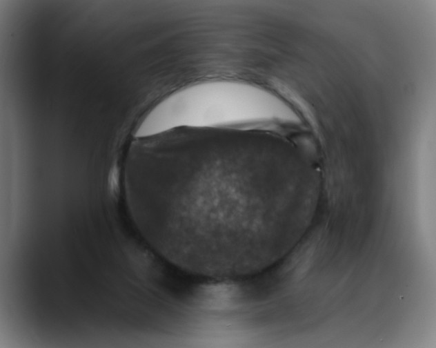 X0000089700067200707121402