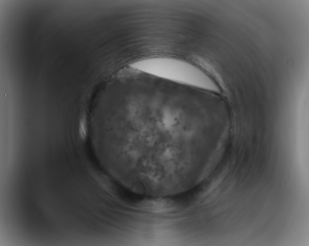 X0000089700069200707121402