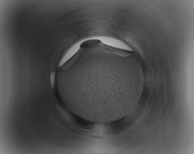 X0000089700070200707121402