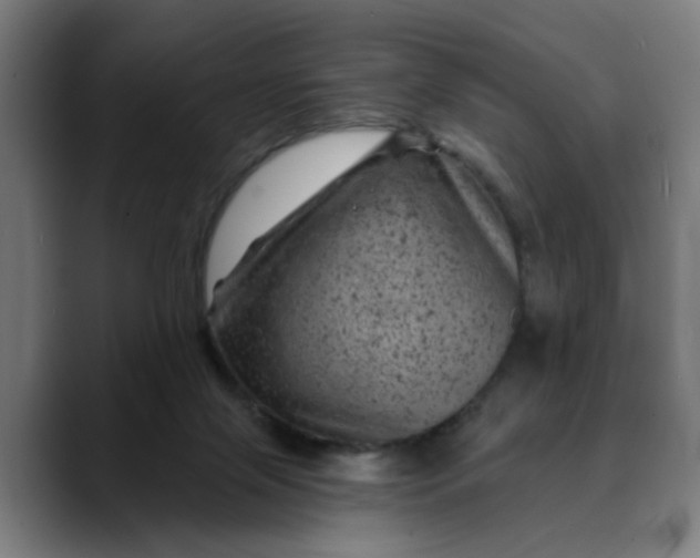 X0000089700071200707121402