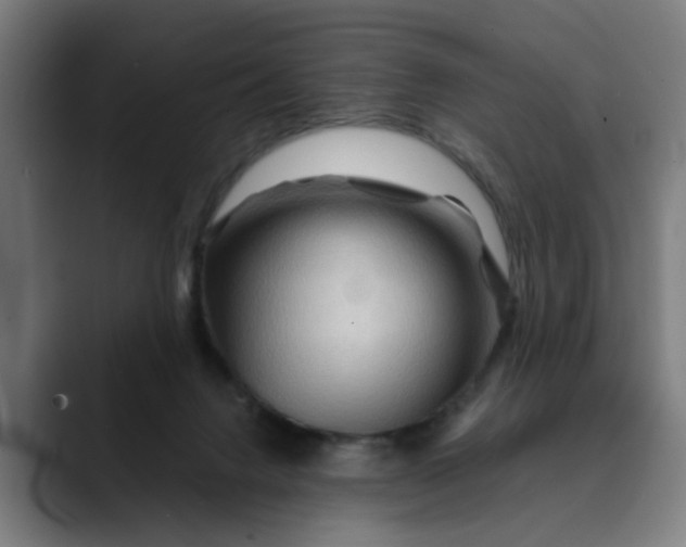 X0000089700072200707121402