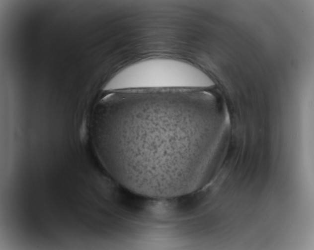 X0000089700074200707121402