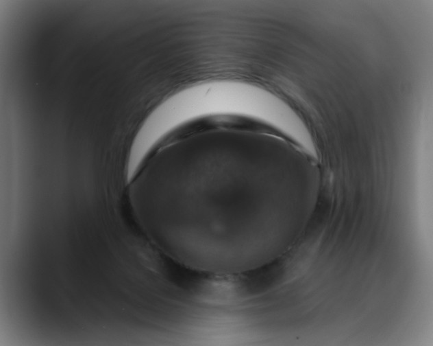 X0000089700076200707121402