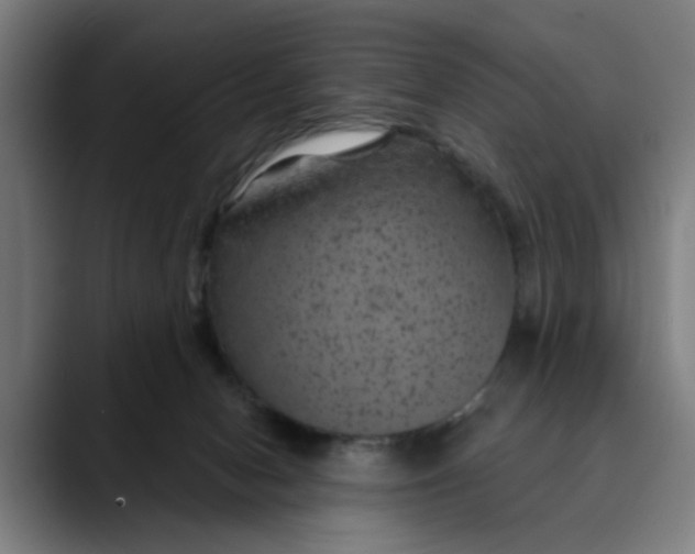 X0000089700078200707121402