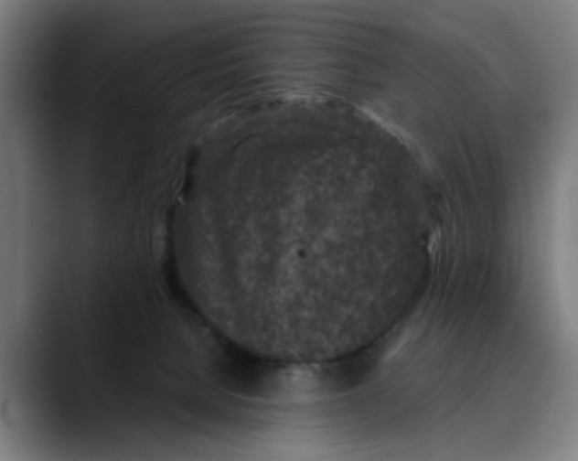 X0000089700080200707121402