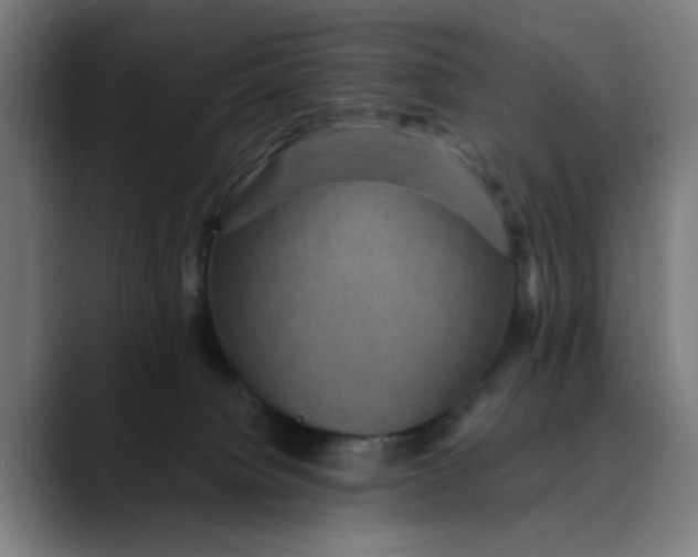 X0000089700084200707121402