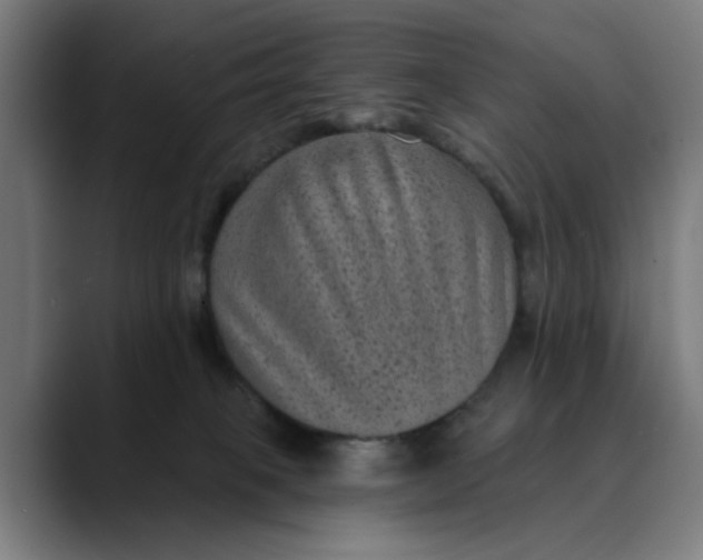 X0000089700085200707121402