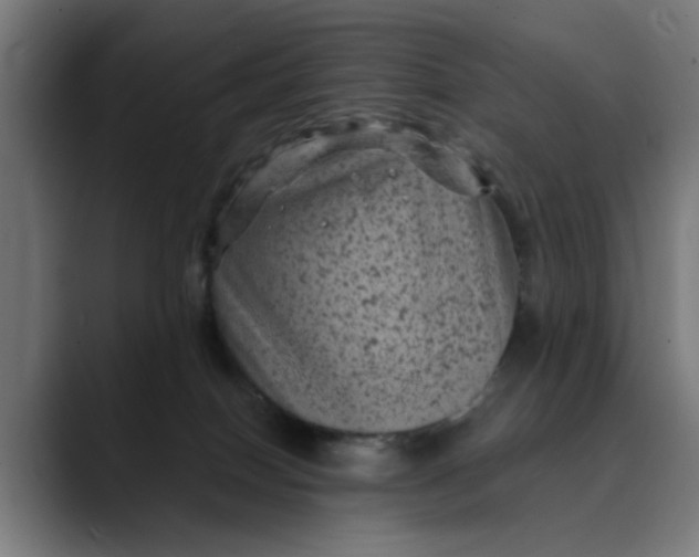 X0000089700086200707121402