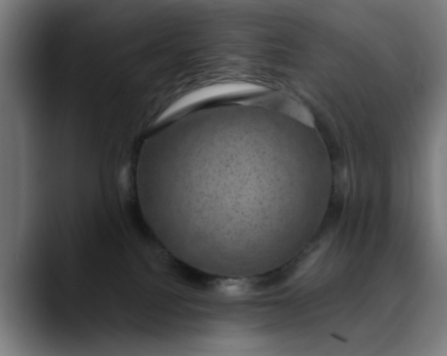 X0000089700088200707121402