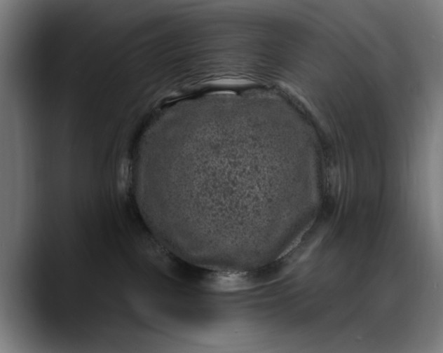 X0000089700093200707121402