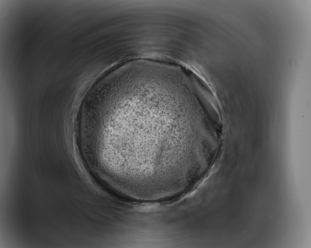 X0000089700097200707121401