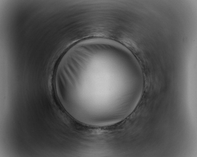 X0000089700098200707121401