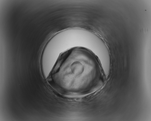 X0000089700099200707121401