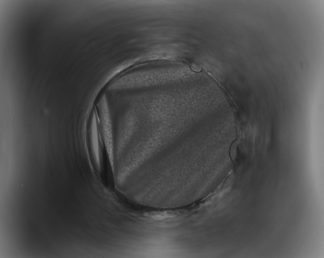 X0000089700100200707121401