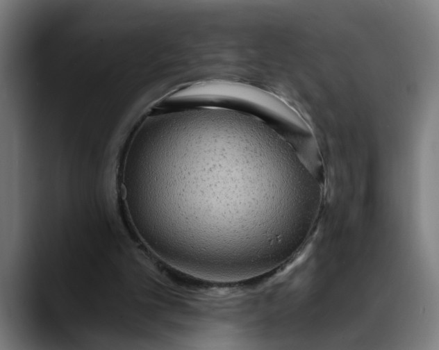 X0000089700101200707121401