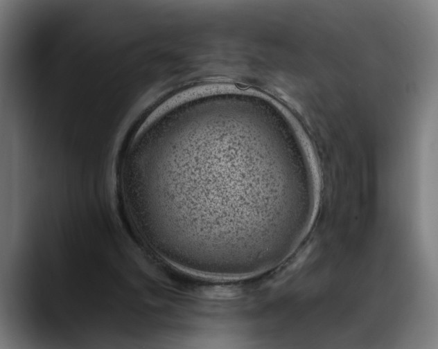 X0000089700102200707121401