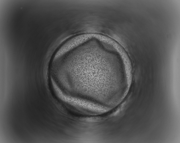 X0000089700103200707121401