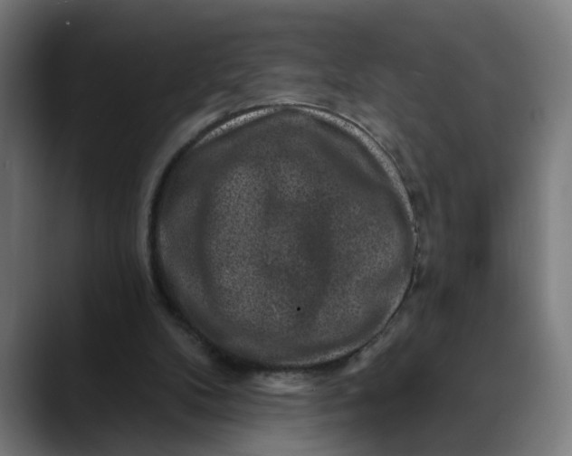 X0000089700104200707121401