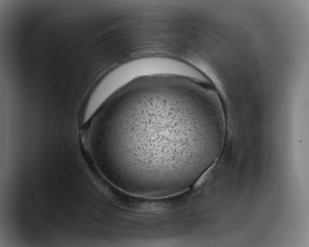 X0000089700105200707121401