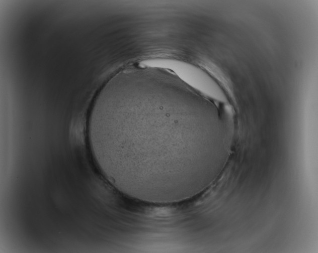 X0000089700107200707121401