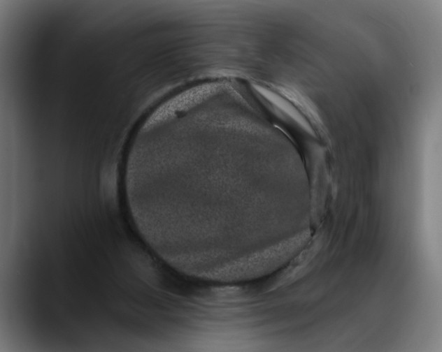 X0000089700108200707121401