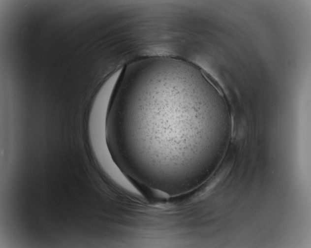 X0000089700109200707121401