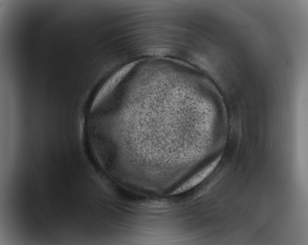 X0000089700110200707121401