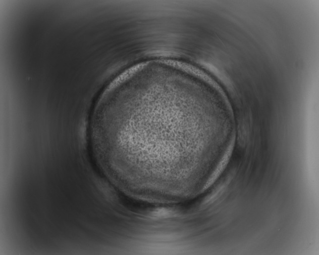 X0000089700111200707121401