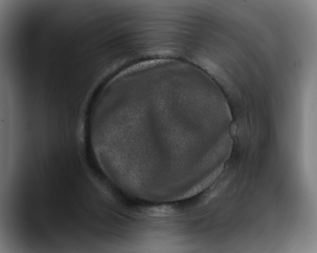 X0000089700112200707121401