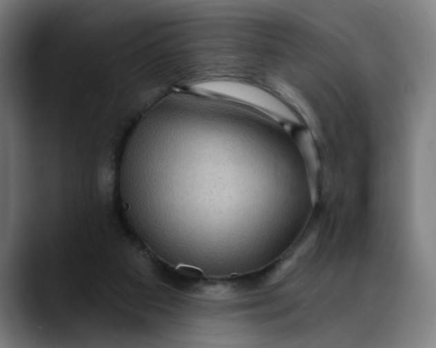 X0000089700113200707121401