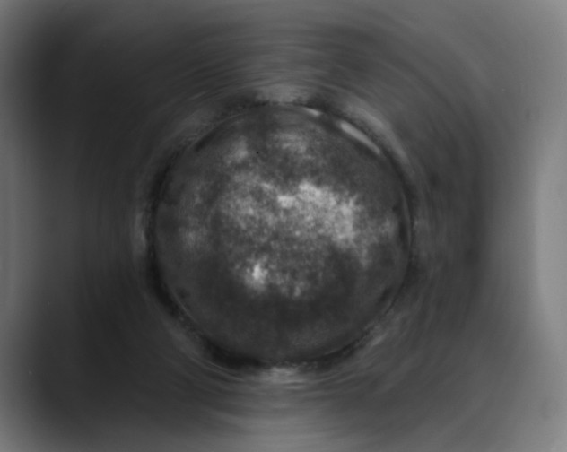 X0000089700114200707121401