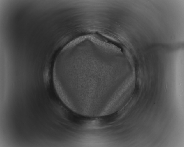 X0000089700116200707121401