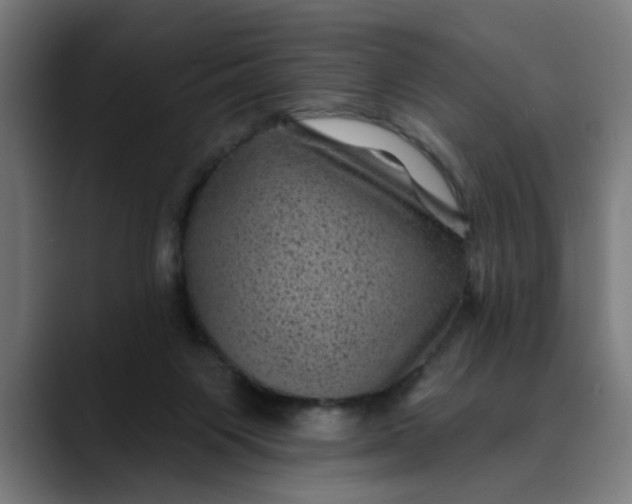 X0000089700119200707121401