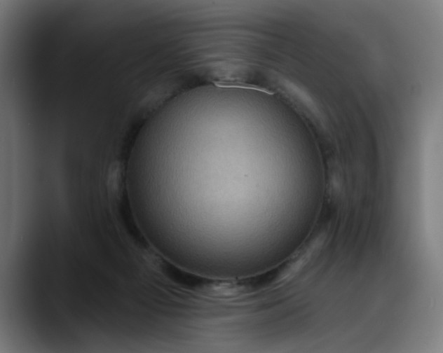 X0000089700121200707121401