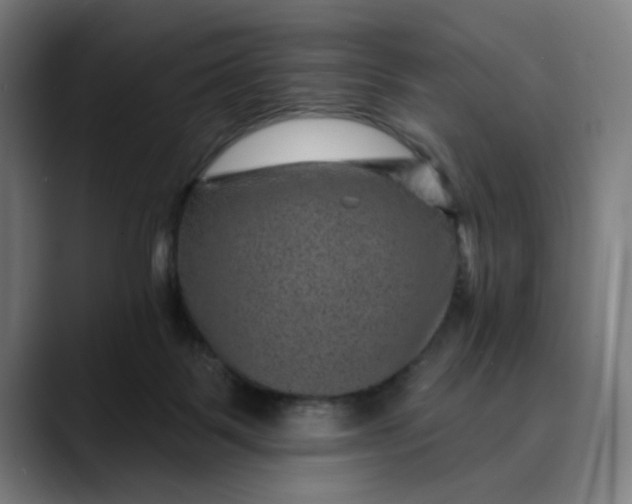 X0000089700123200707121401