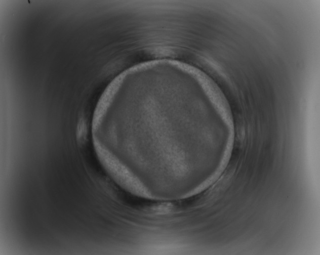 X0000089700124200707121401