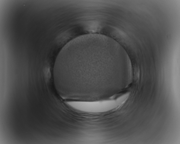 X0000089700128200707121401