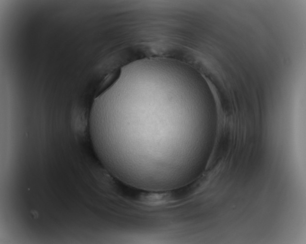 X0000089700129200707121401