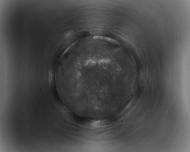 X0000089700130200707121401