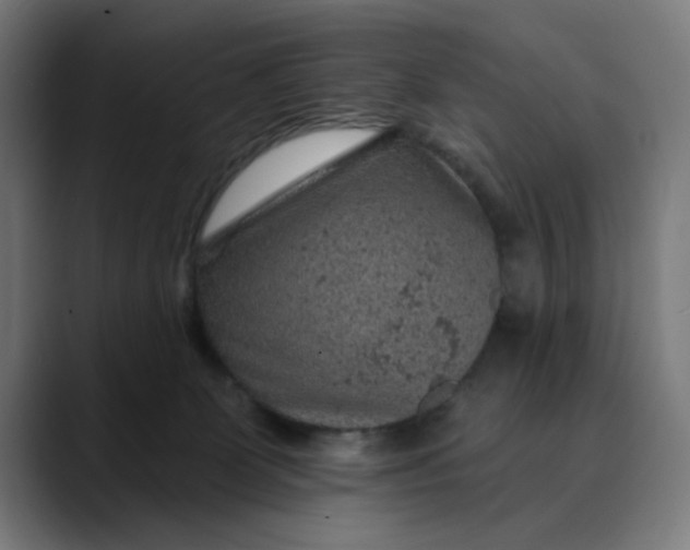 X0000089700131200707121401