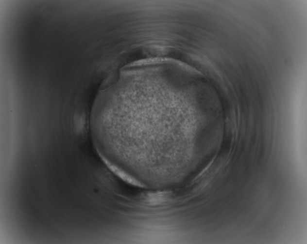 X0000089700134200707121401