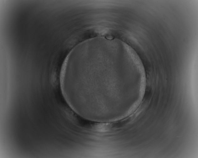 X0000089700136200707121401