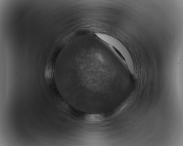 X0000089700137200707121401