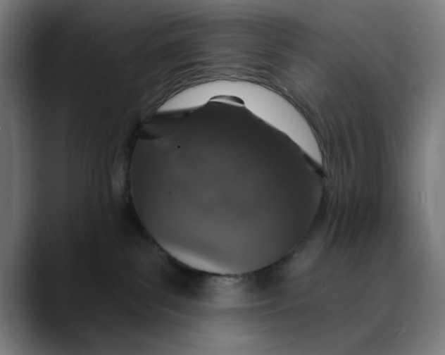 X0000089700139200707121401