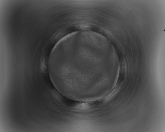 X0000089700140200707121401