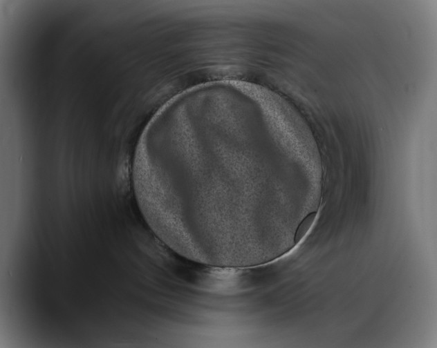 X0000089700144200707121401