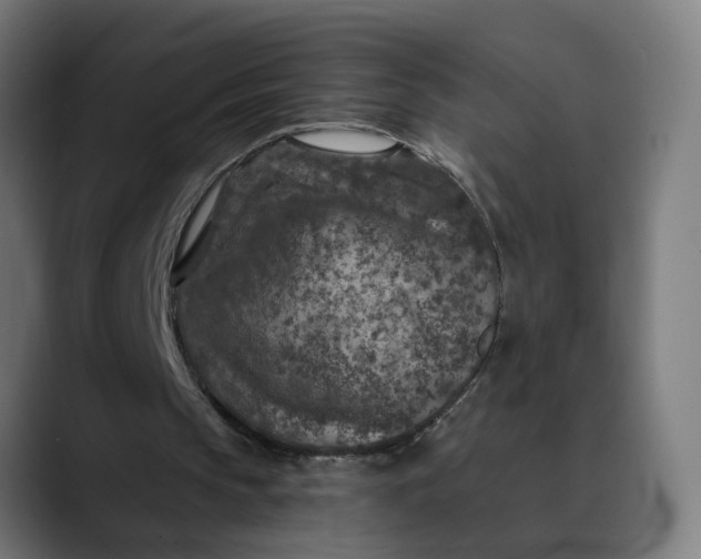 X0000089700145200707121400